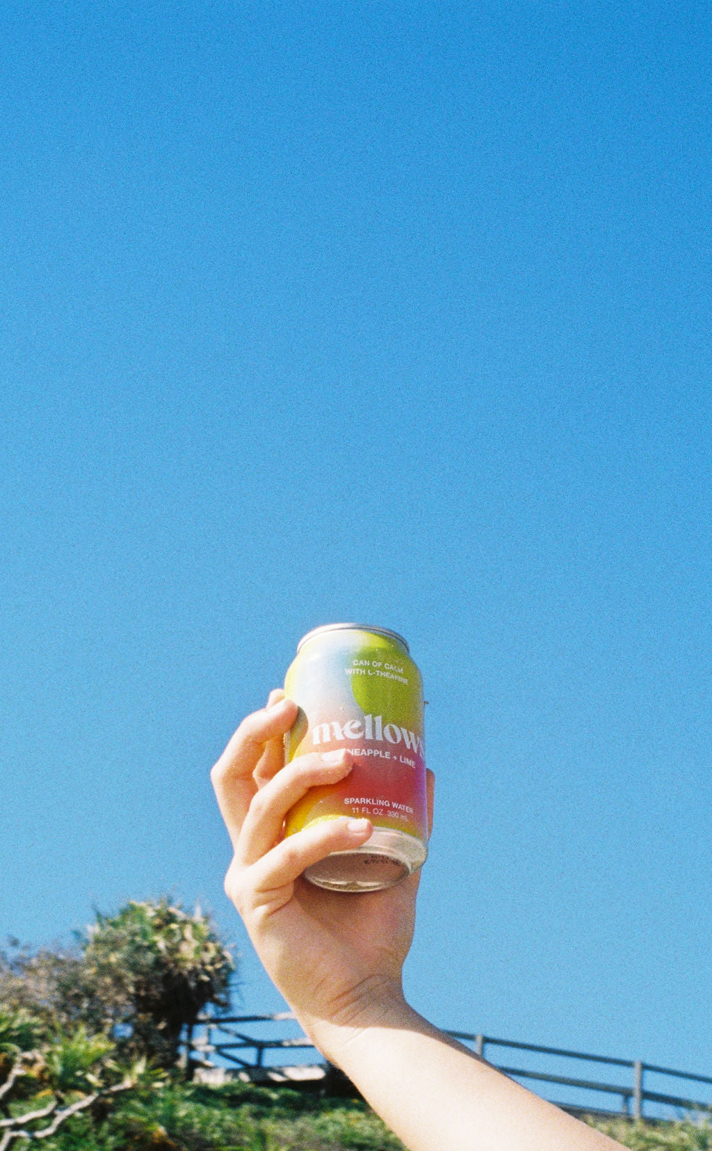 Pineapple & Lime - Functional Sparkling Water - Can Of Calm - Mellows