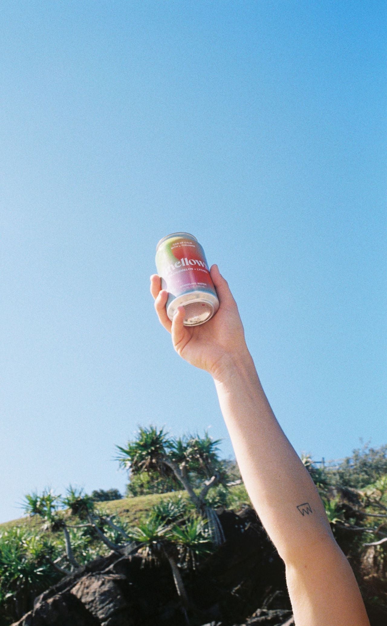 Watermelon & Lychee - Functional Sparkling Water - Can Of Calm - Mellows